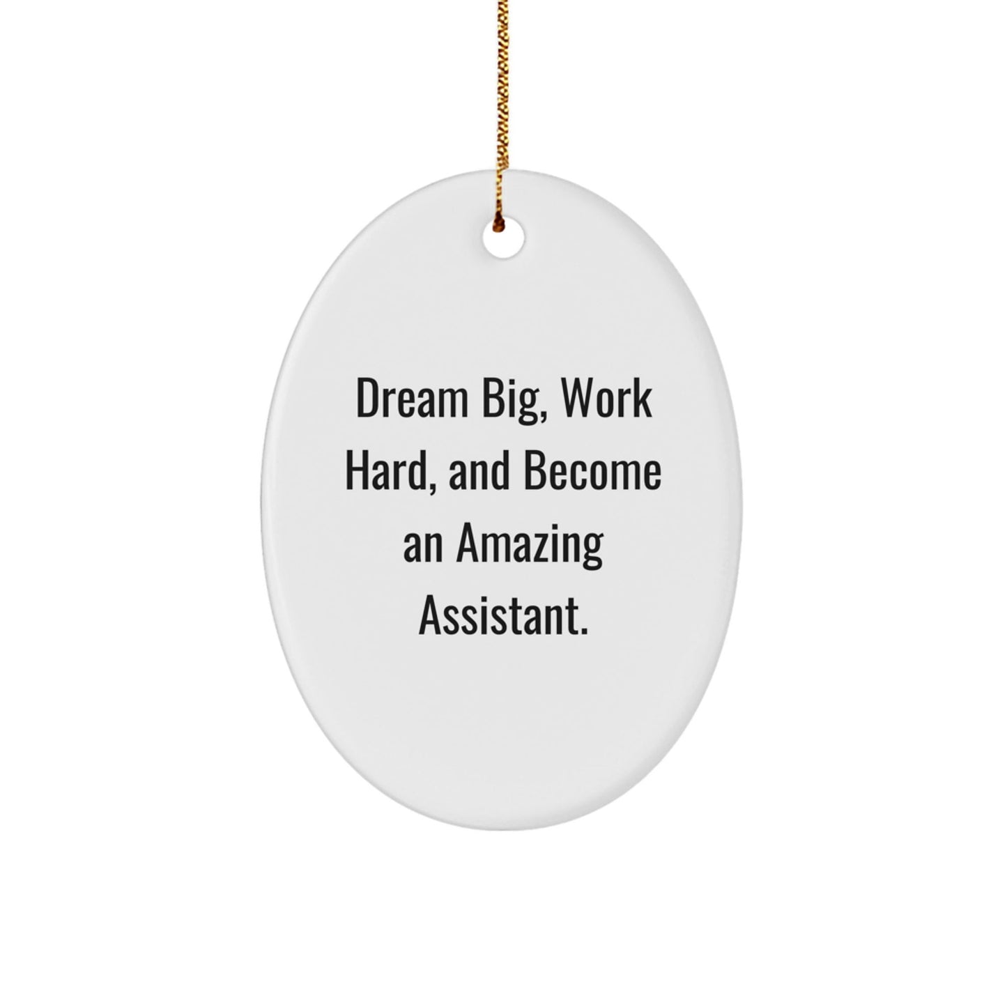 Dream Big, Work Hard, and Become an Amazing Assistant Oval Ornament Gifts from Friends for Christmas - The Buy Boom