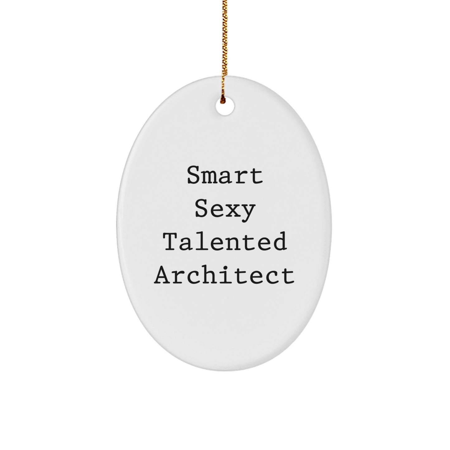 Funny Architect Oval Ornament Gifts from Friends for Smart Sexy Talented Architect Christmas Unique Ornament - The Buy Boom