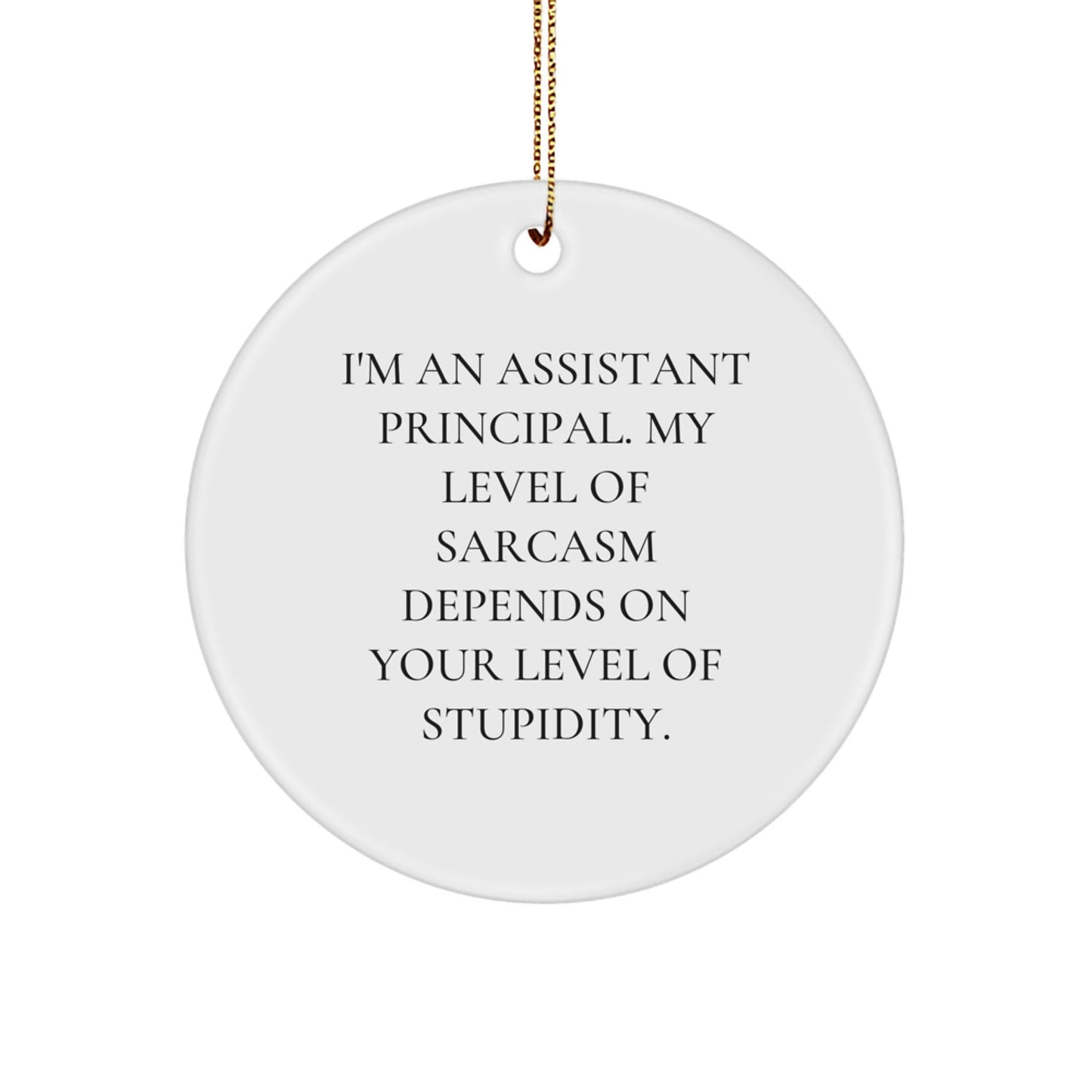 Funny Assistant Principal Gifts from Friends - Christmas Unique Circle Ornament, Gifts for Assistant Principal, Sarcastic Quote - The Buy Boom