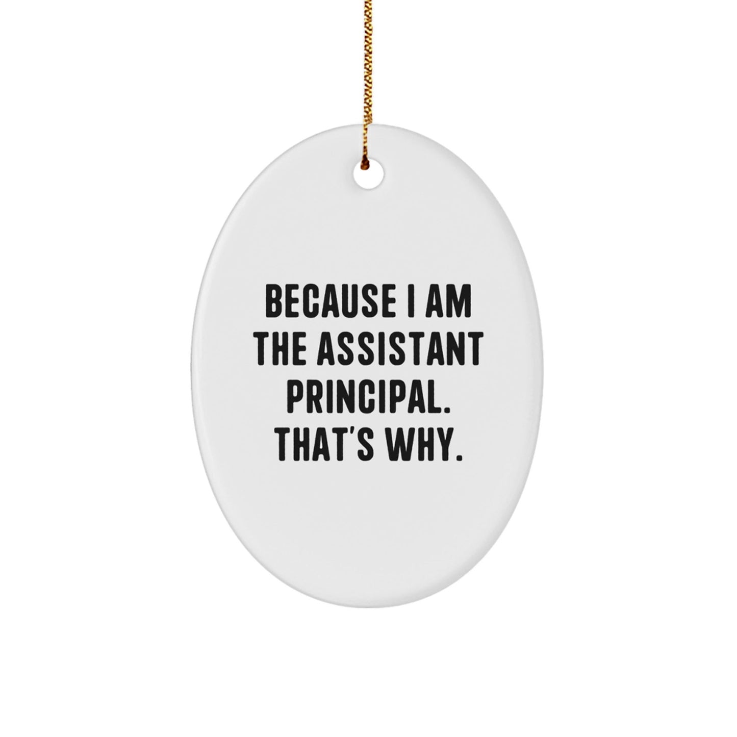 Funny Assistant Principal Oval Ornament Gifts from Family for Men at Christmas, Gifts for Assistant Principal, Oval Ornament Quote Gifts for Christmas Unique Presents - The Buy Boom