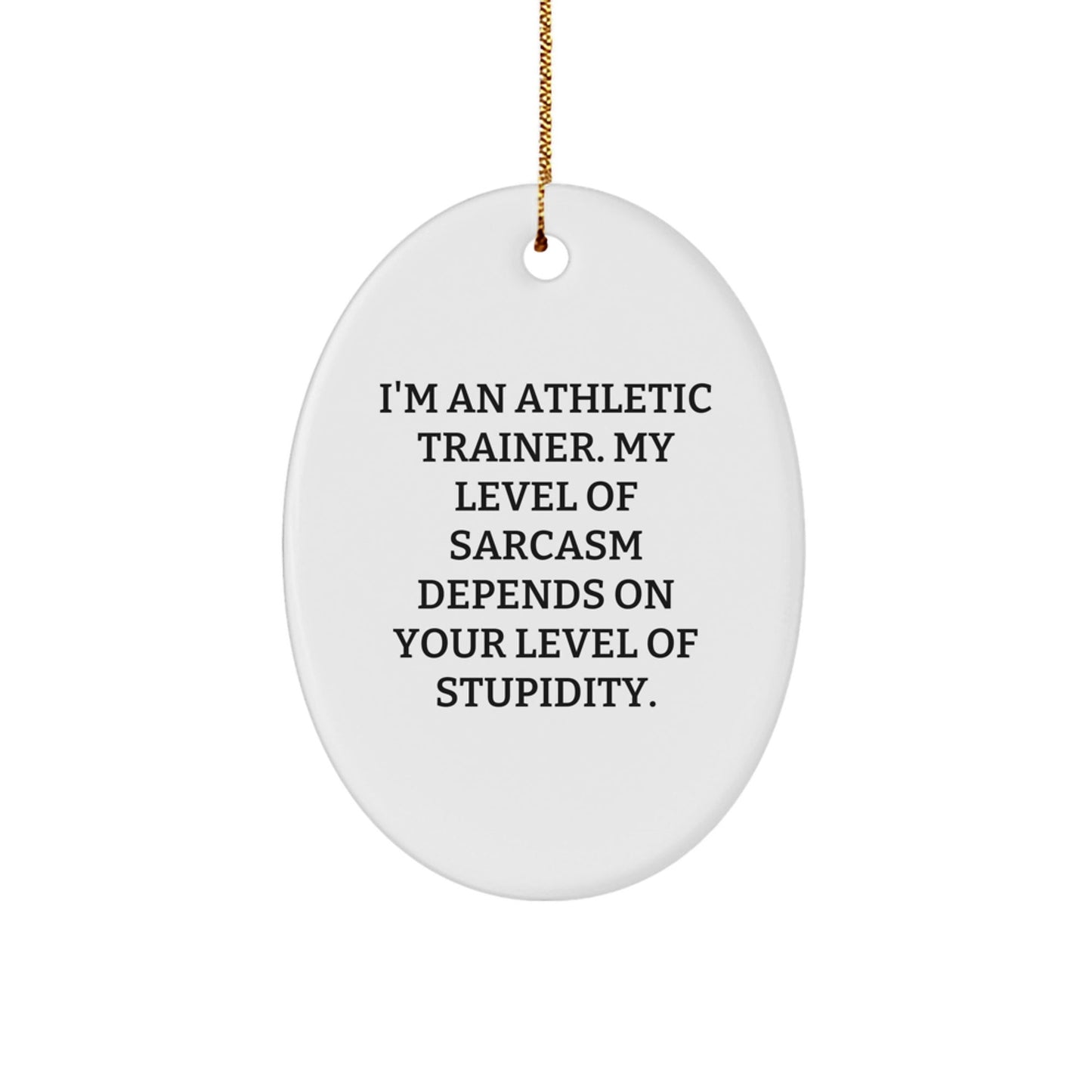 Funny Athletic Trainer Gifts from Friends for Christmas - 'I'm An Athletic Trainer. My Level Of Sarcasm Depends On Your Level Of Stupidity.' Oval Ornament - The Buy Boom