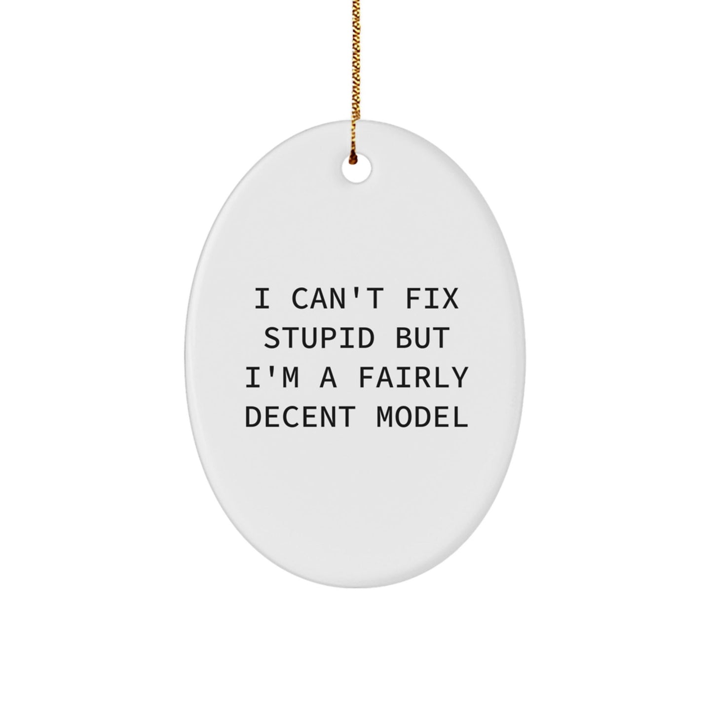 Funny Christmas Unique Gifts from Friends to Model Enthusiasts - Oval Model Ornament with I Can't Fix Stupid But I'm A Fairly Decent Model Quote - Unique Model Gifts for Men and Women - The Buy Boom