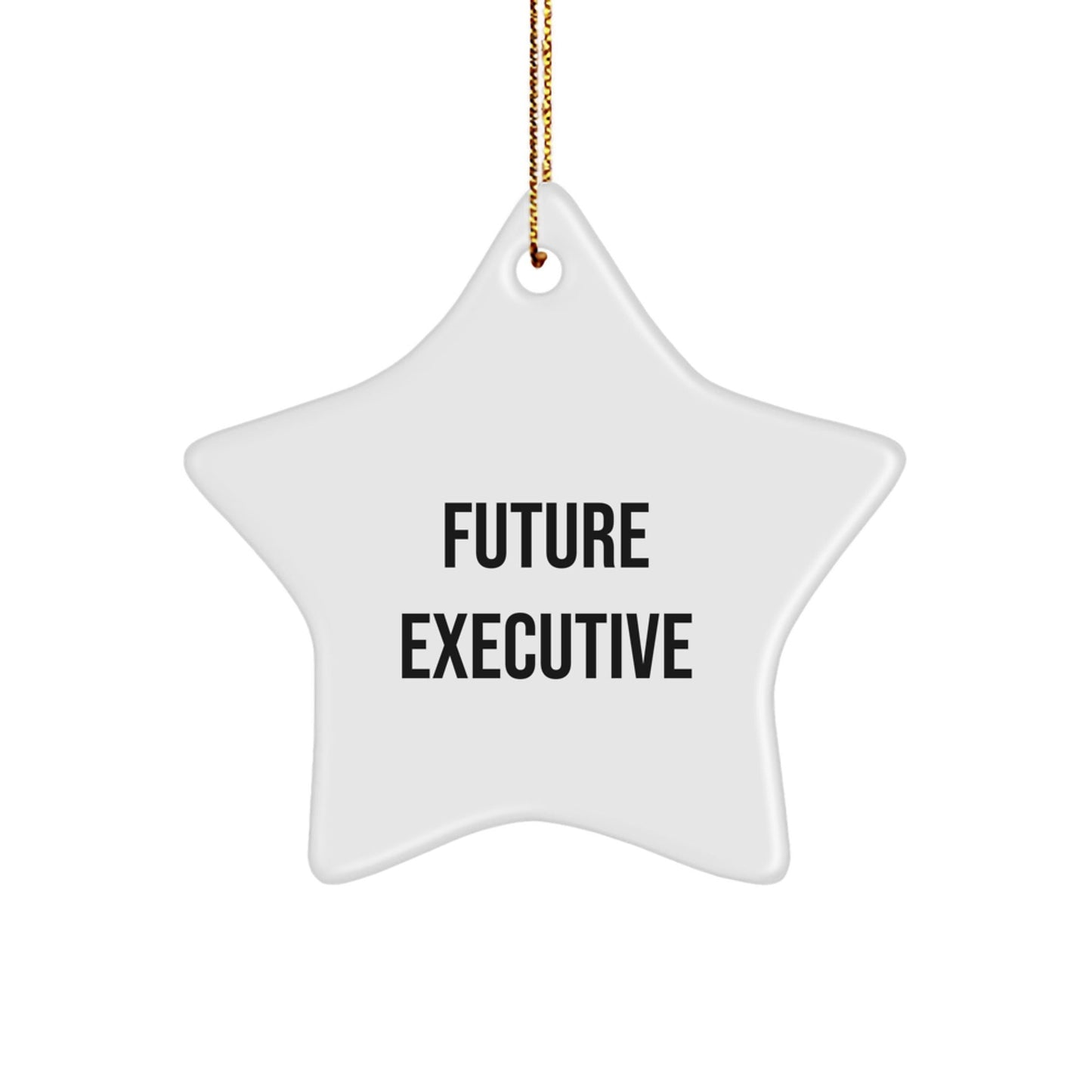 Funny Executive Gifts from Men to Future Executives Star Ornament for Christmas Unique Gifts, Inspirational Quote Executive Star Decoration for Home Office Desk - The Buy Boom