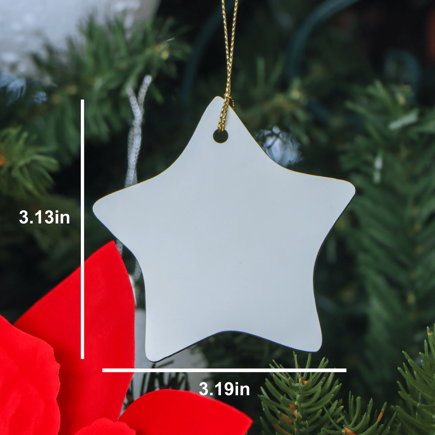 Funny Fiance Gifts from Men to Best Fiance Ever for Christmas Unique Star Ornament - The Buy Boom