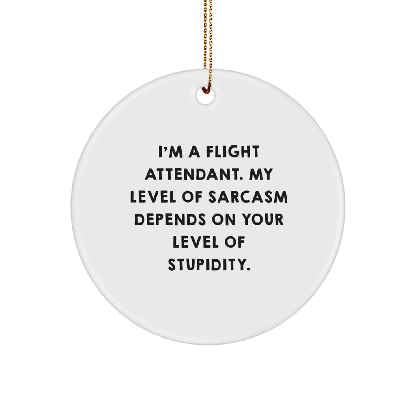 Funny Flight Attendant Gifts from Friends, Christmas Unique Circle Ornaments for Flight Attendant, I'm A Flight Attendant Sarcastic Humor - The Buy Boom