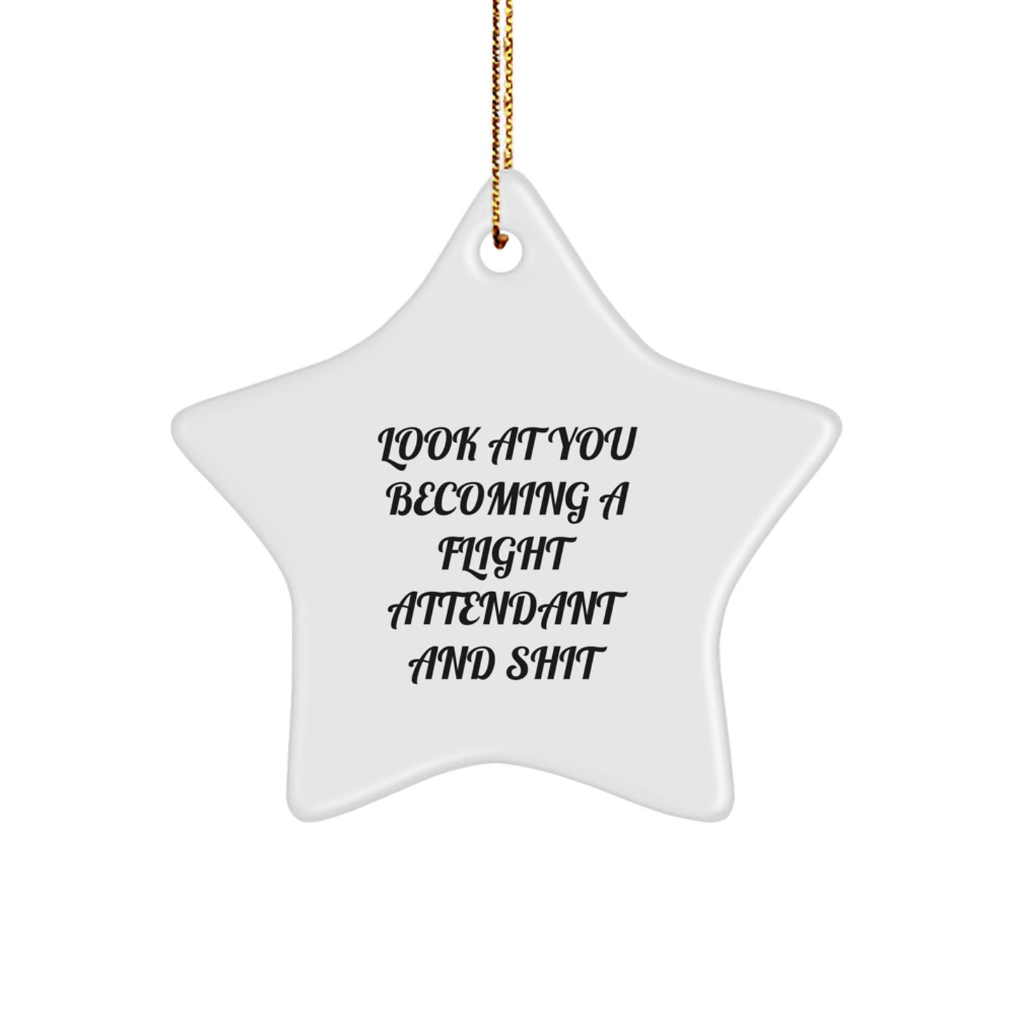 Funny Flight Attendant Gifts from Friends for Her - Star Ornament, Look At You Becoming A Flight Attendant And Shit, Christmas Unique Decorations - The Buy Boom