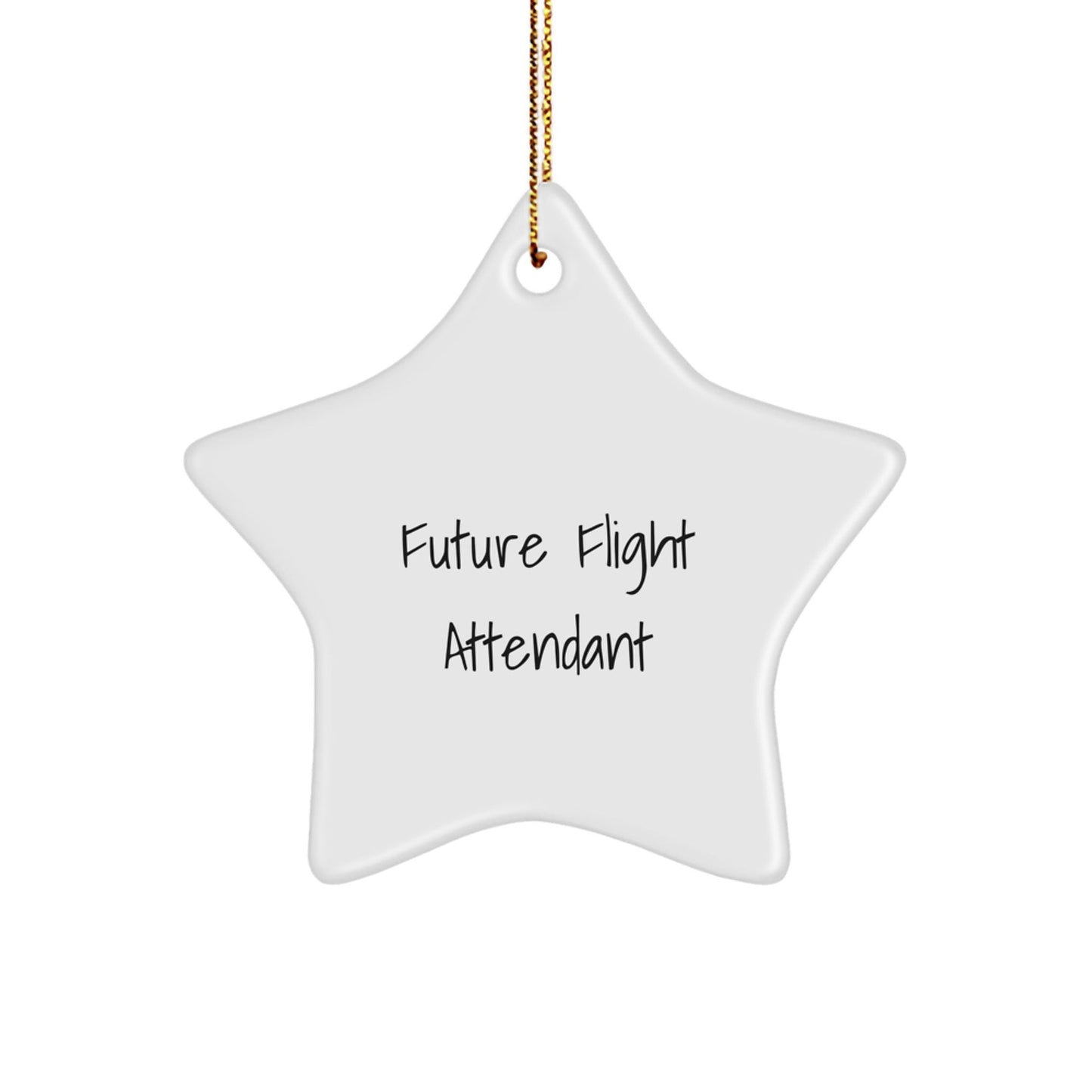 Funny Flight Attendant Star Ornament Gifts from Friends and Family for Future Flight Attendant Christmas Unique Gift - The Buy Boom
