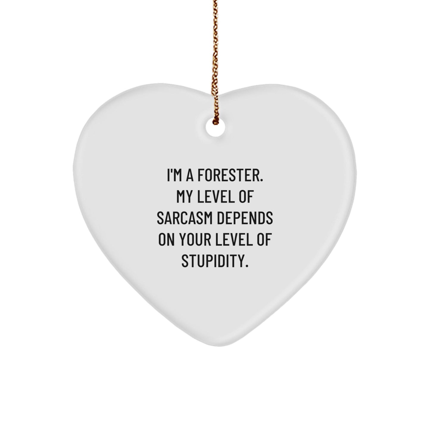 Funny Forester Christmas Unique Gifts from Men to Friends, Heart Ornament with Sarcastic Quote, Forester Gifts for Family - The Buy Boom