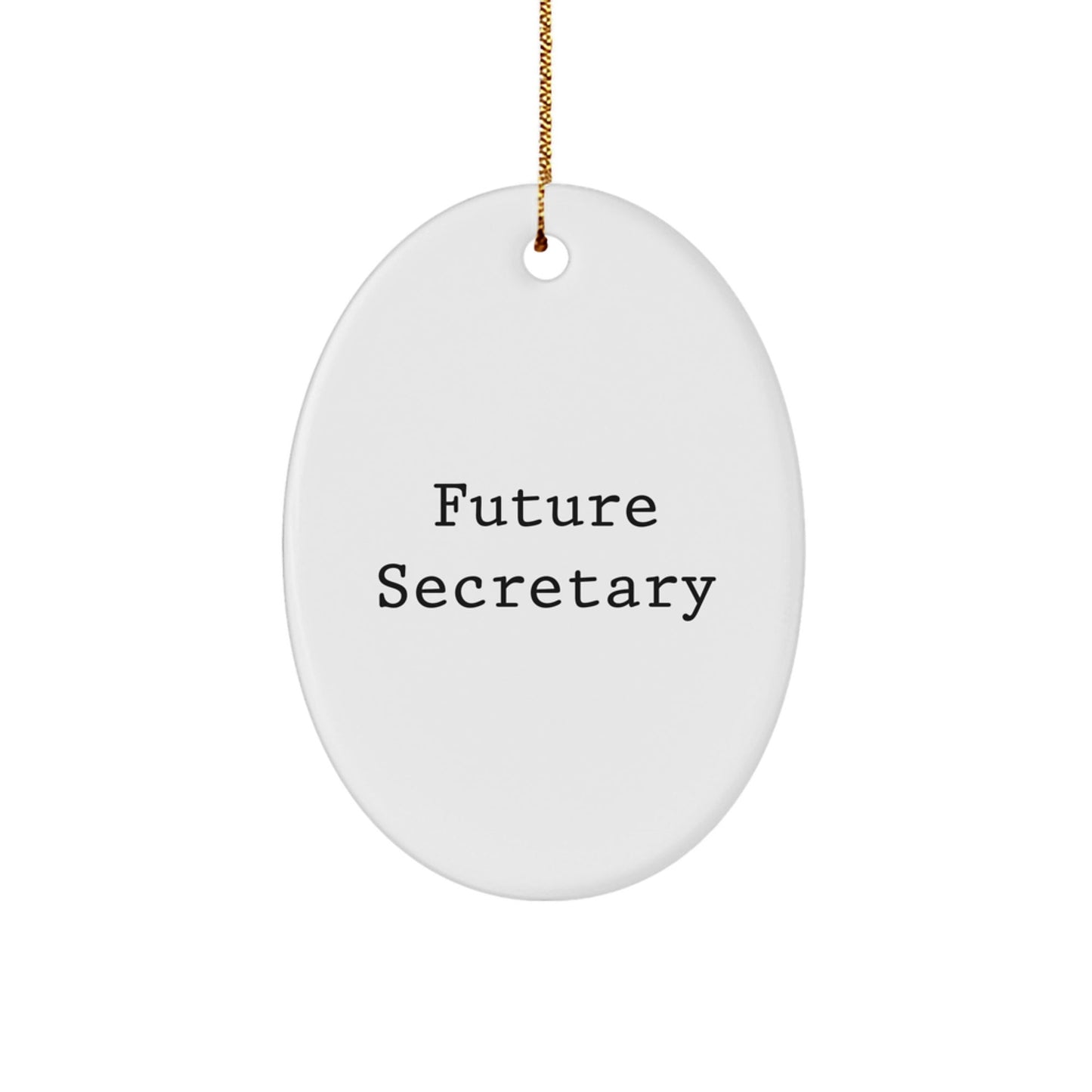 Funny Future Secretary Oval Ornament Gifts from Friends, Cute Christmas Unique Gift for Secretary, Secretary Gifts for Her, Unique Oval Ornament with Inspirational Quote - The Buy Boom