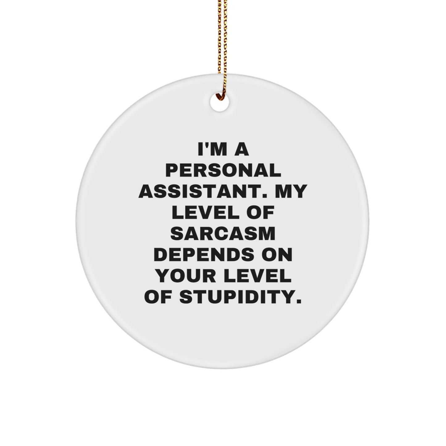 Funny Gift for Personal Assistant, Christmas Unique Ornaments with Sarcasm Quote, Circle Shaped Decorations for Men or Women Coworkers Family Friends - The Buy Boom