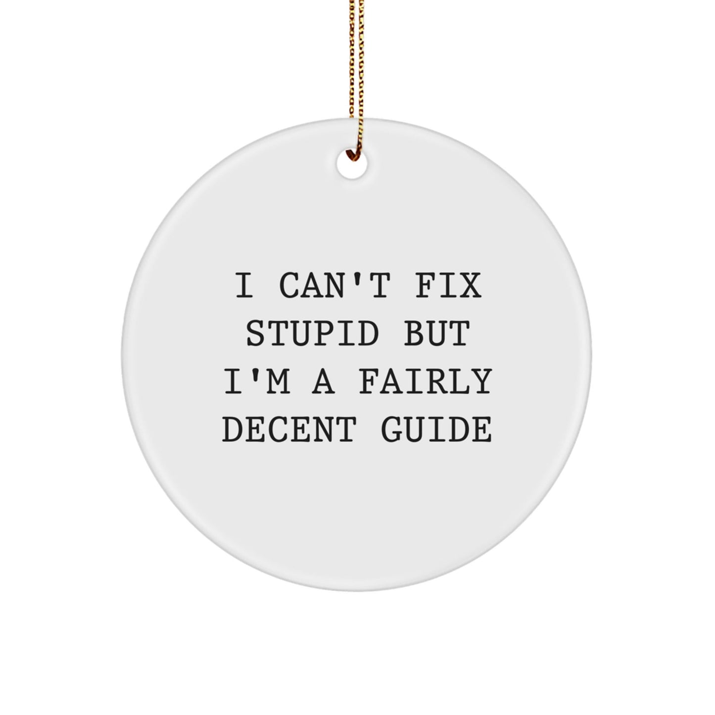 Funny Guide Gifts for Guide Lovers - 'I Can't Fix Stupid' Circle Ornament, White, Christmas Unique Gifts, Gifts from Friends to Guide, Guide Circle Ornament - The Buy Boom