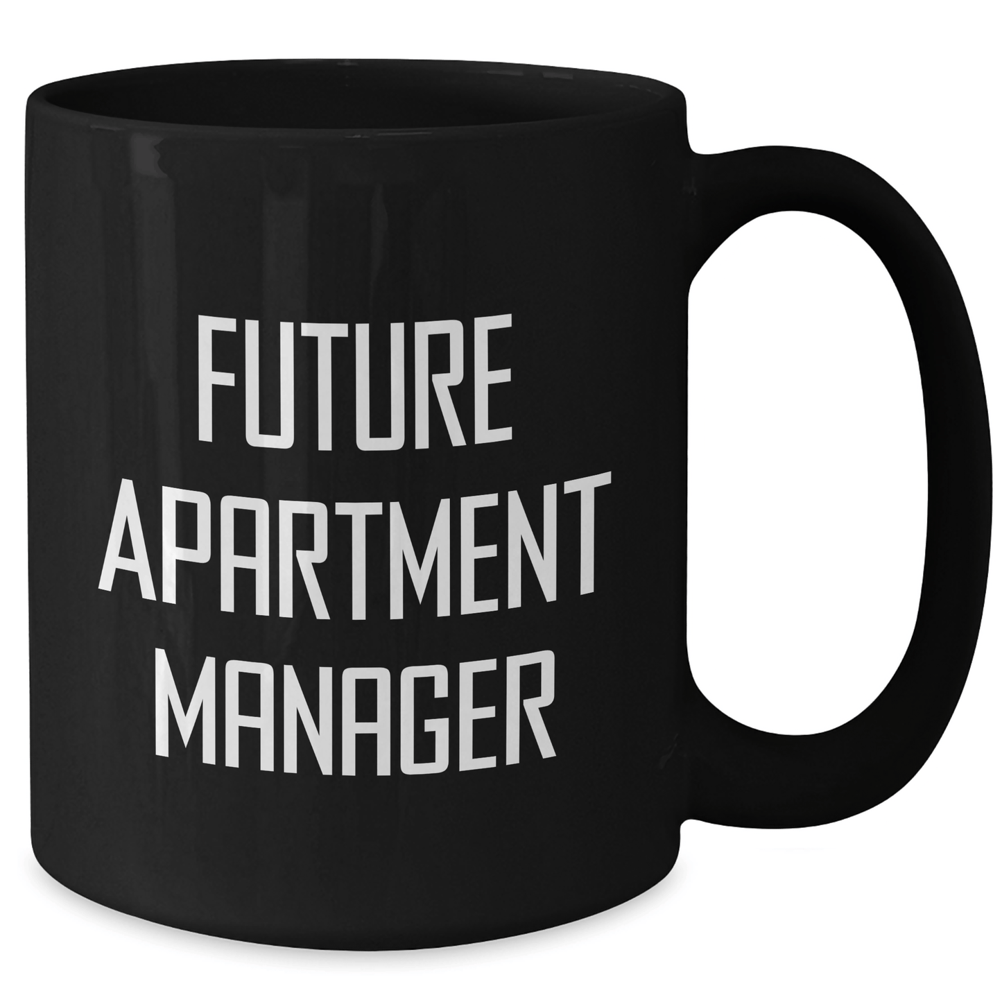 Funny Inspirational Gifts for Future Apartment Managers, Black Coffee Mug from Friends, Graduation Unique Gifts for Men - The Buy Boom