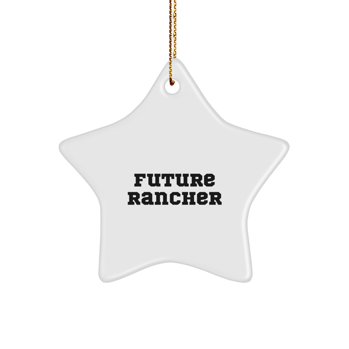 Funny Inspirational Gifts from Friends to Future Rancher Star Ornament Christmas Unique Decorations - The Buy Boom