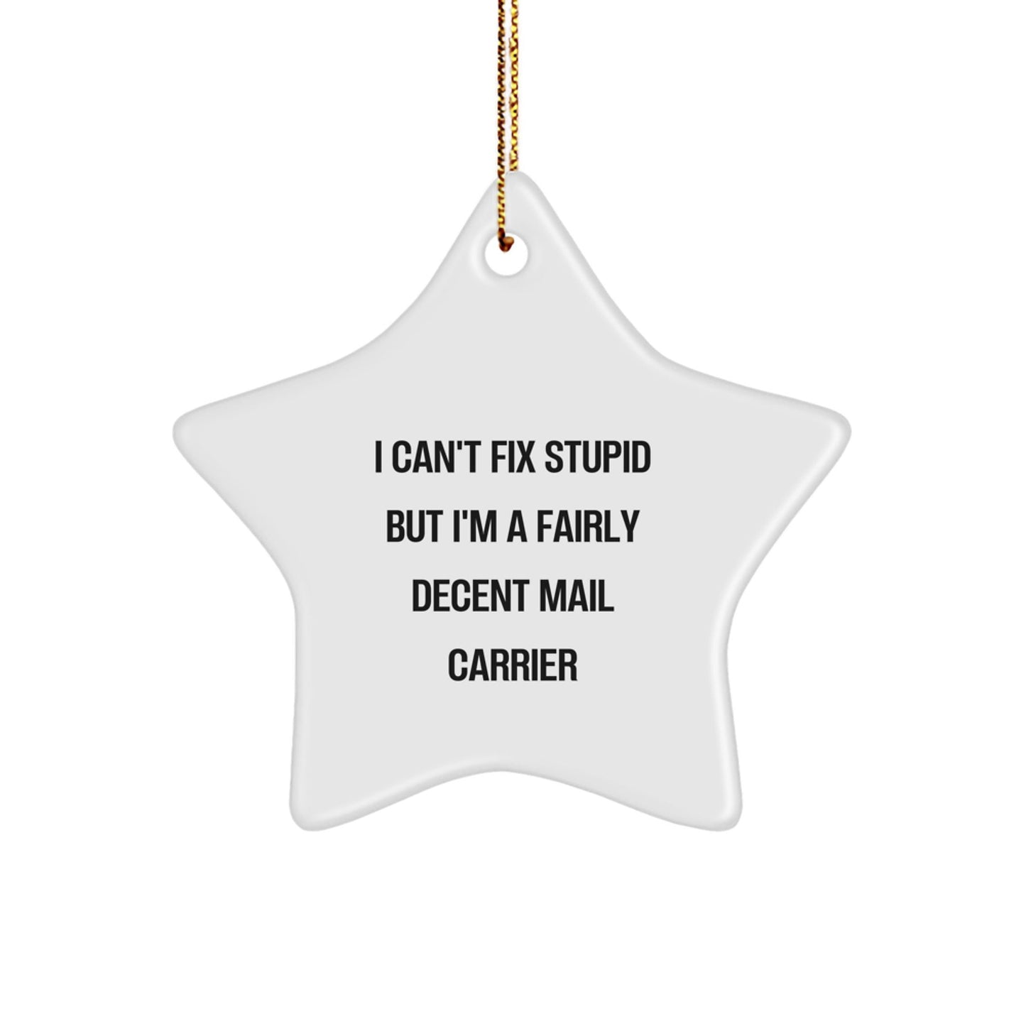 Funny Mail Carrier Gifts, Gifts from Men to Mail Carrier Friends, White Star Ornament with I Can't Fix Stupid But I'm A Fairly Decent Mail Carrier Quote for Christmas - The Buy Boom