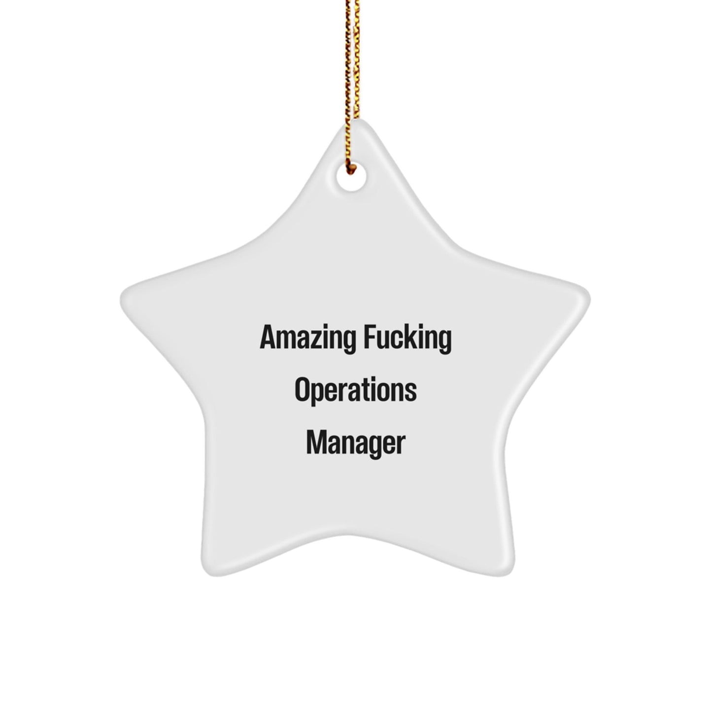 Funny Operations Manager Star Ornament for Christmas Unique Gifts from Friends with Inspirational Quote for Him or Her - The Buy Boom