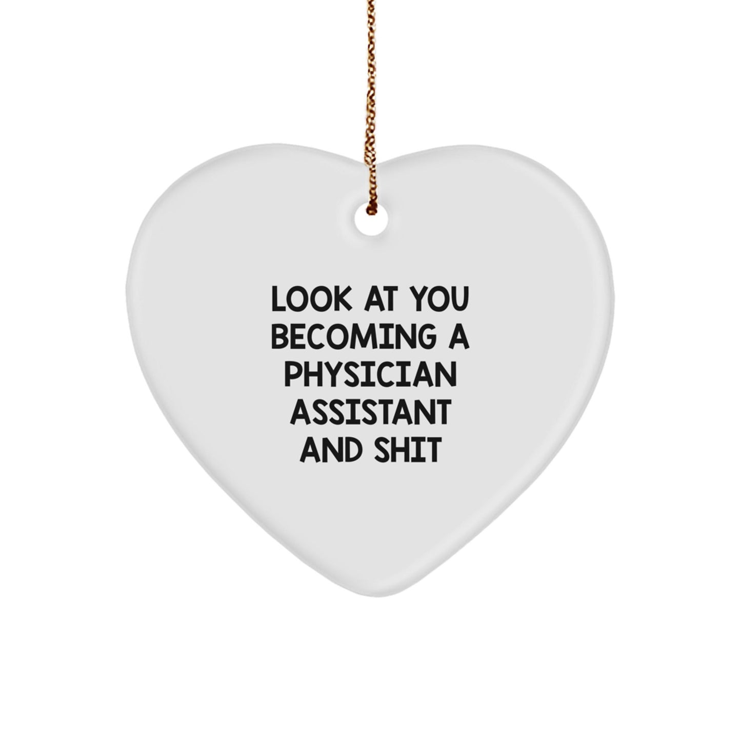 Funny Physician Assistant Gifts from Friends for Christmas - Heart Ornament with Inspirational Quote - Gifts for Physician Assistant PA - The Buy Boom