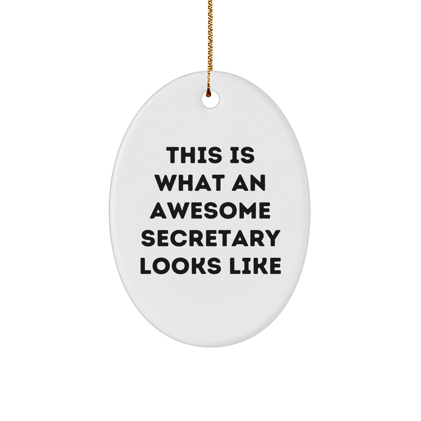 Funny Secretary Gifts, Oval Ornament, 'This Is What An Awesome Secretary Looks Like', Christmas Unique Gifts from Friends to Secretary, Unique Oval Shaped Decor for Home Office - The Buy Boom