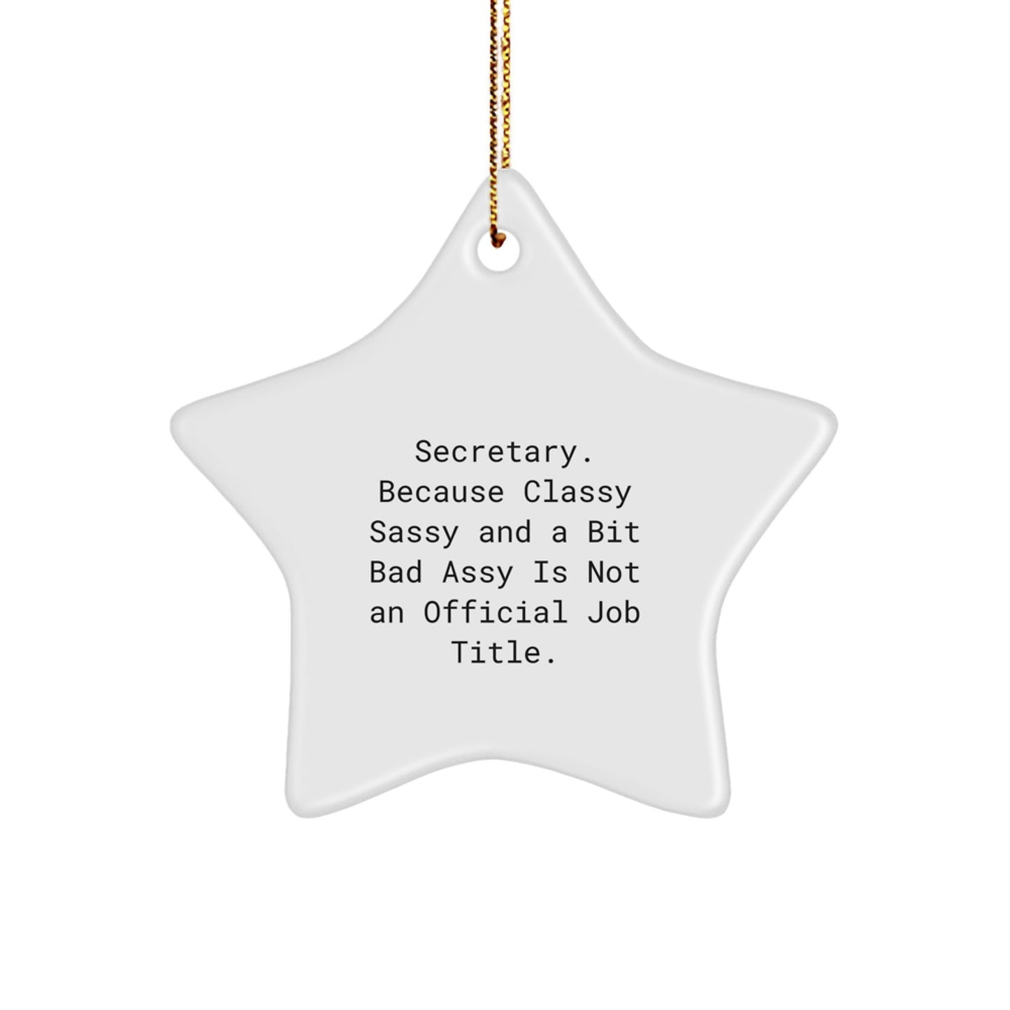 Funny Secretary Star Ornament Gifts from Men to Colleagues, White Star Shaped Christmas Unique Gifts for Women Friends Family - The Buy Boom