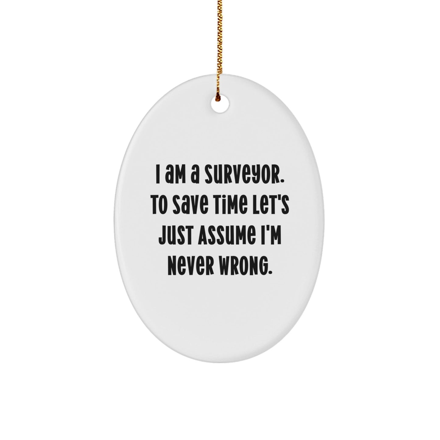 Funny Surveyor Oval Ornament Gifts from Friends to Surveyor, Christmas Unique Gifts, Oval Shaped Ornament - The Buy Boom