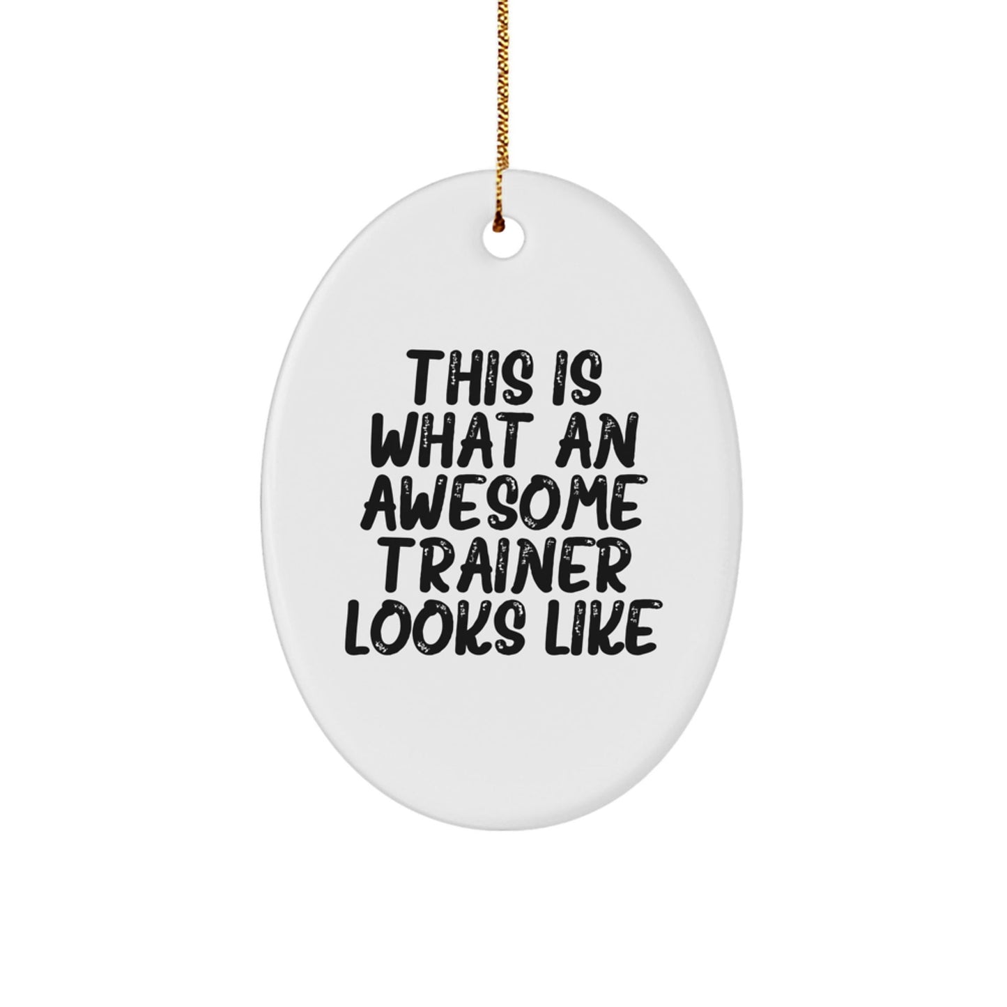Funny Trainer Gifts from Friends for Awesome Trainers - Oval Ornament 'This Is What An Awesome Trainer Looks Like' - Christmas Unique Gifts - The Buy Boom