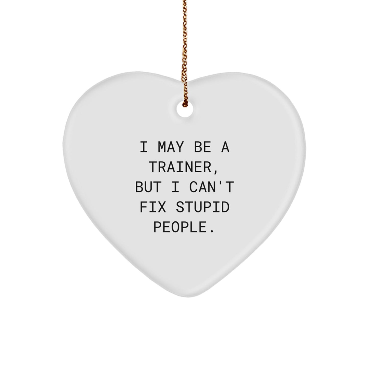 Funny Trainer Gifts from Friends to Men - Trainer Heart Ornament I May Be A Trainer, But I Can't Fix Stupid People. - Unique Christmas Unique Gifts for Trainers - The Buy Boom