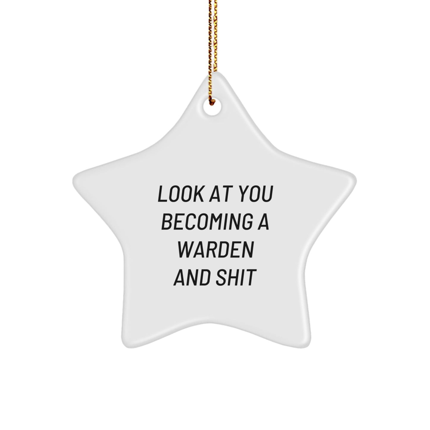 Funny Warden Gifts from Friends, Christmas Unique Star Ornament for Warden, Inspirational Look At You Becoming A Warden Star Shaped Decoration - The Buy Boom