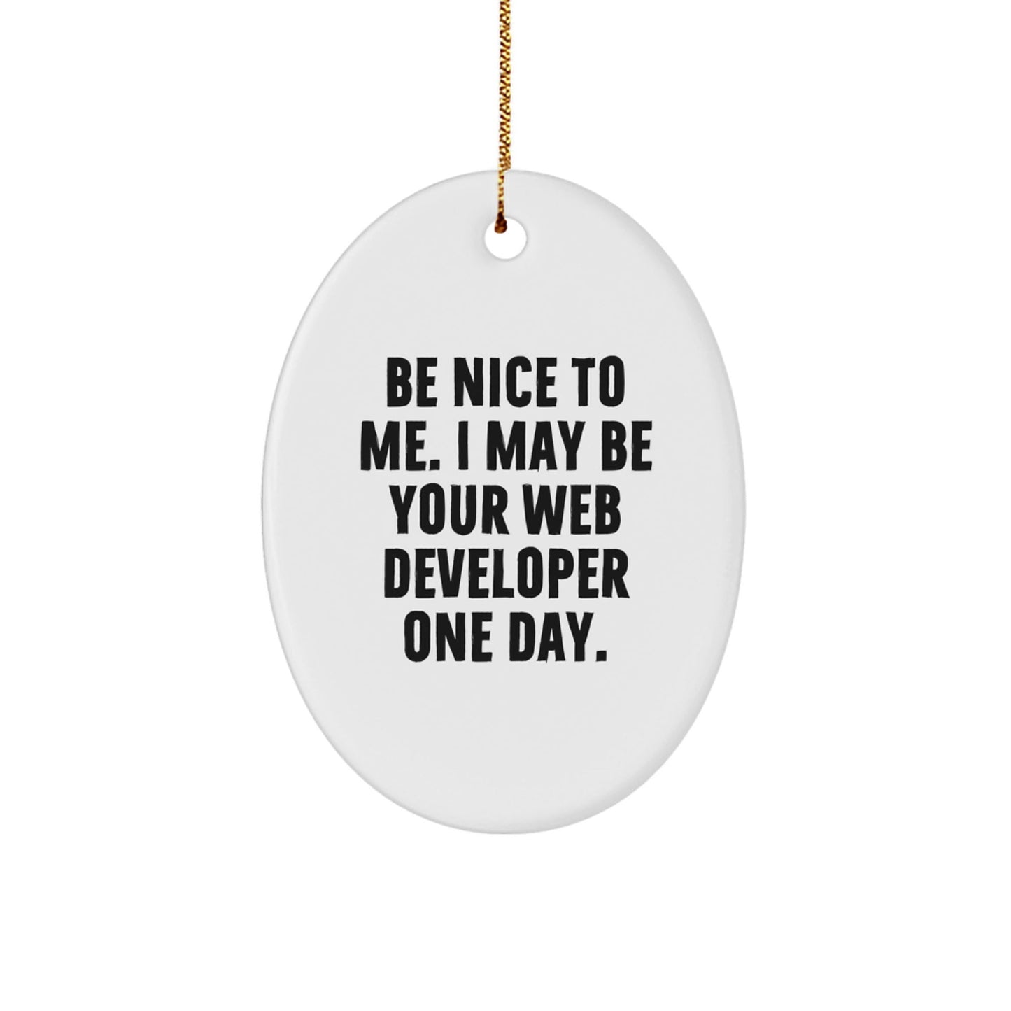 Funny Web Developer Gifts, Be Nice to Me Oval Ornament, Gifts from Friends, for Men, Christmas Unique Presents - The Buy Boom