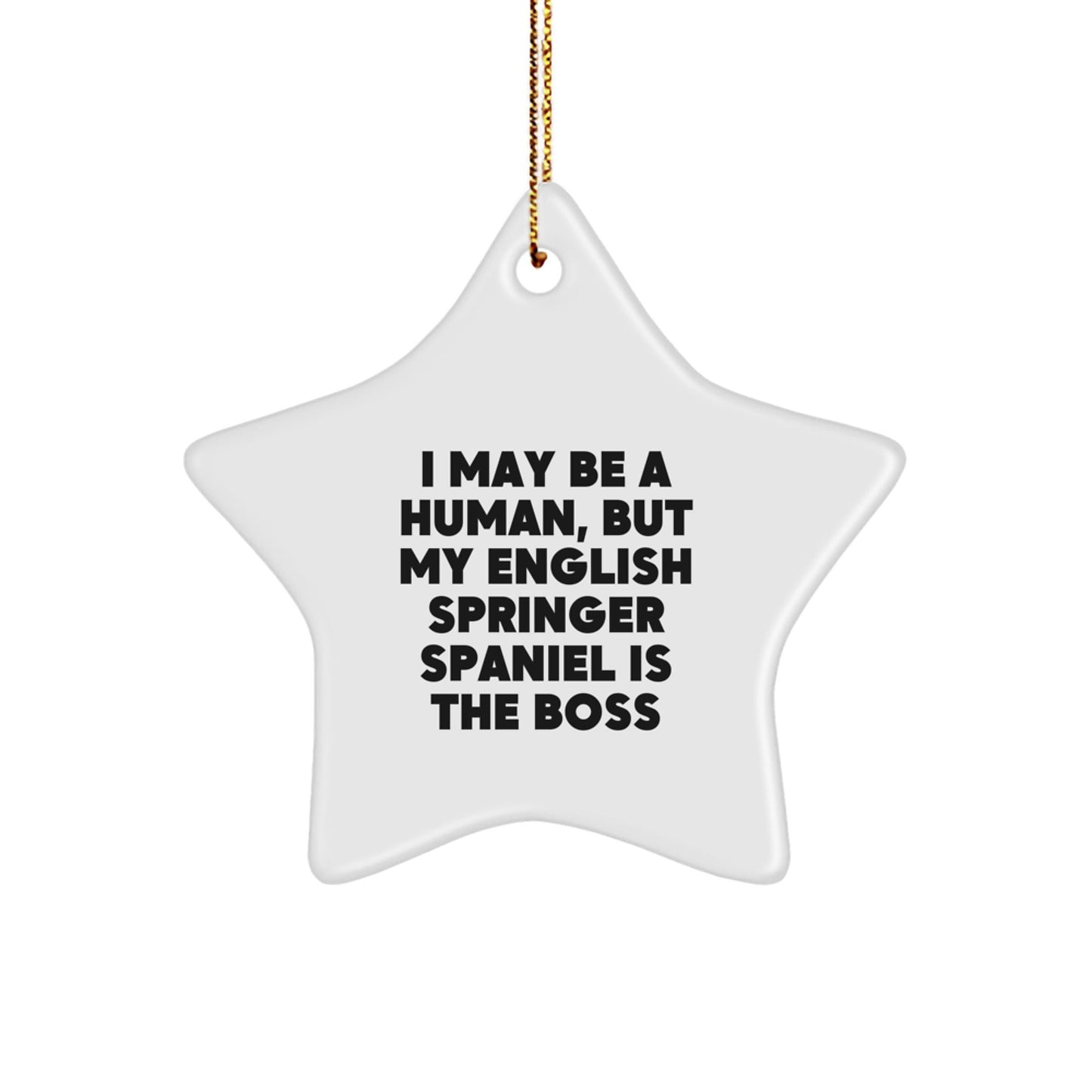 'Furry Boss' English Springer Spaniel Dog Christmas Star Ornament Gifts from Friends and Family, I May Be A Human, But My English Springer Spaniel Is The Boss Quote - The Buy Boom