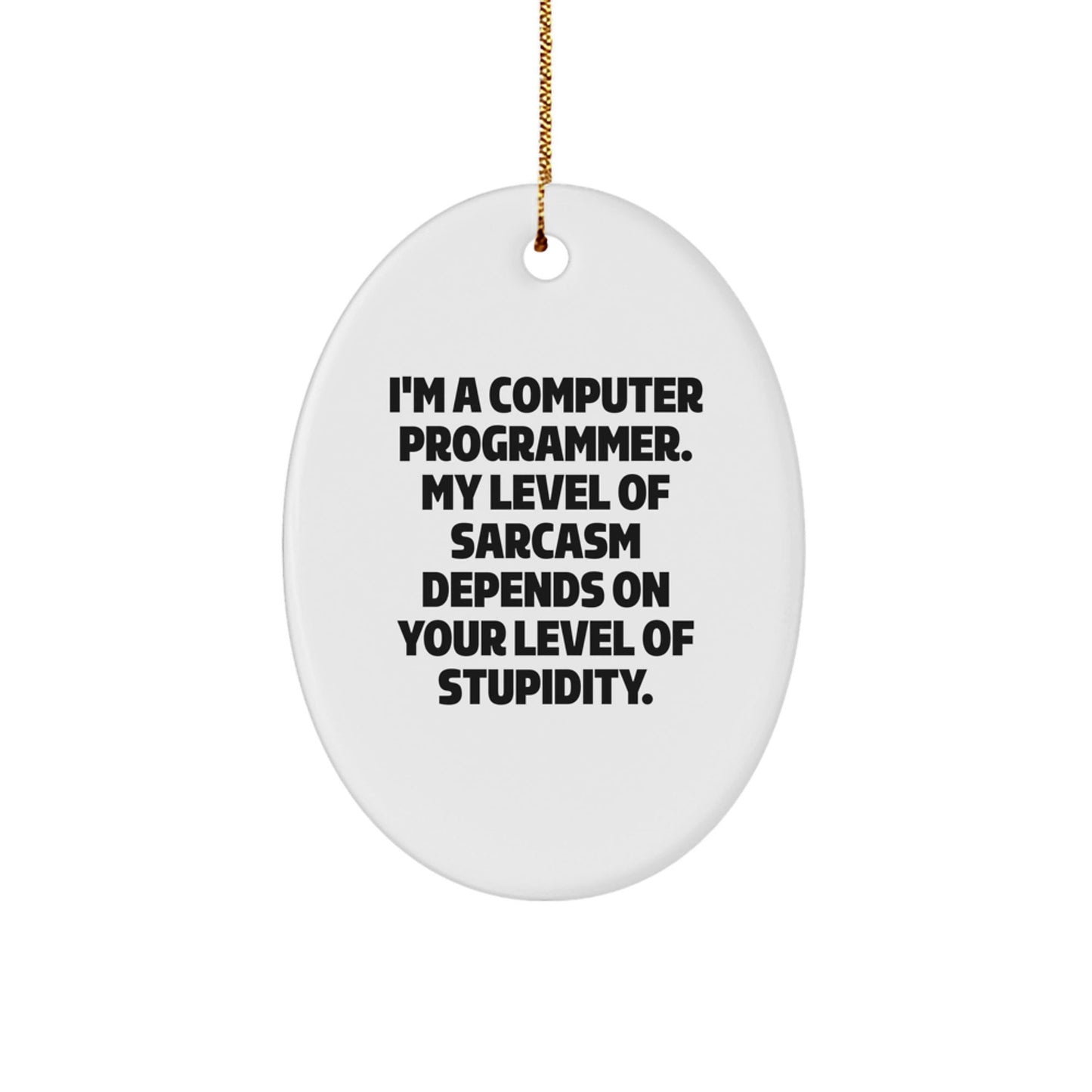 Gifts from Friends for Computer Programmer - Oval Ornament - Funny Sarcasm Quote - Christmas Unique Gift Ideas - The Buy Boom