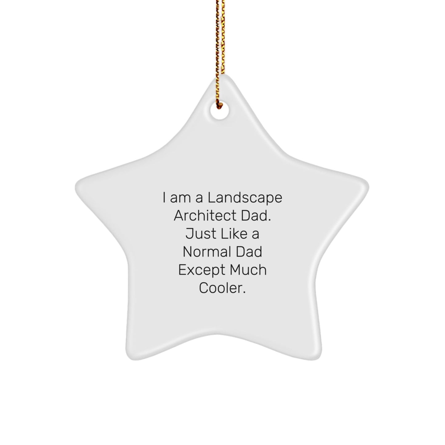 Landscape Architect Dad Unique Gifts from Men to Friends for Christmas - Star Ornament with Funny Quote - The Buy Boom
