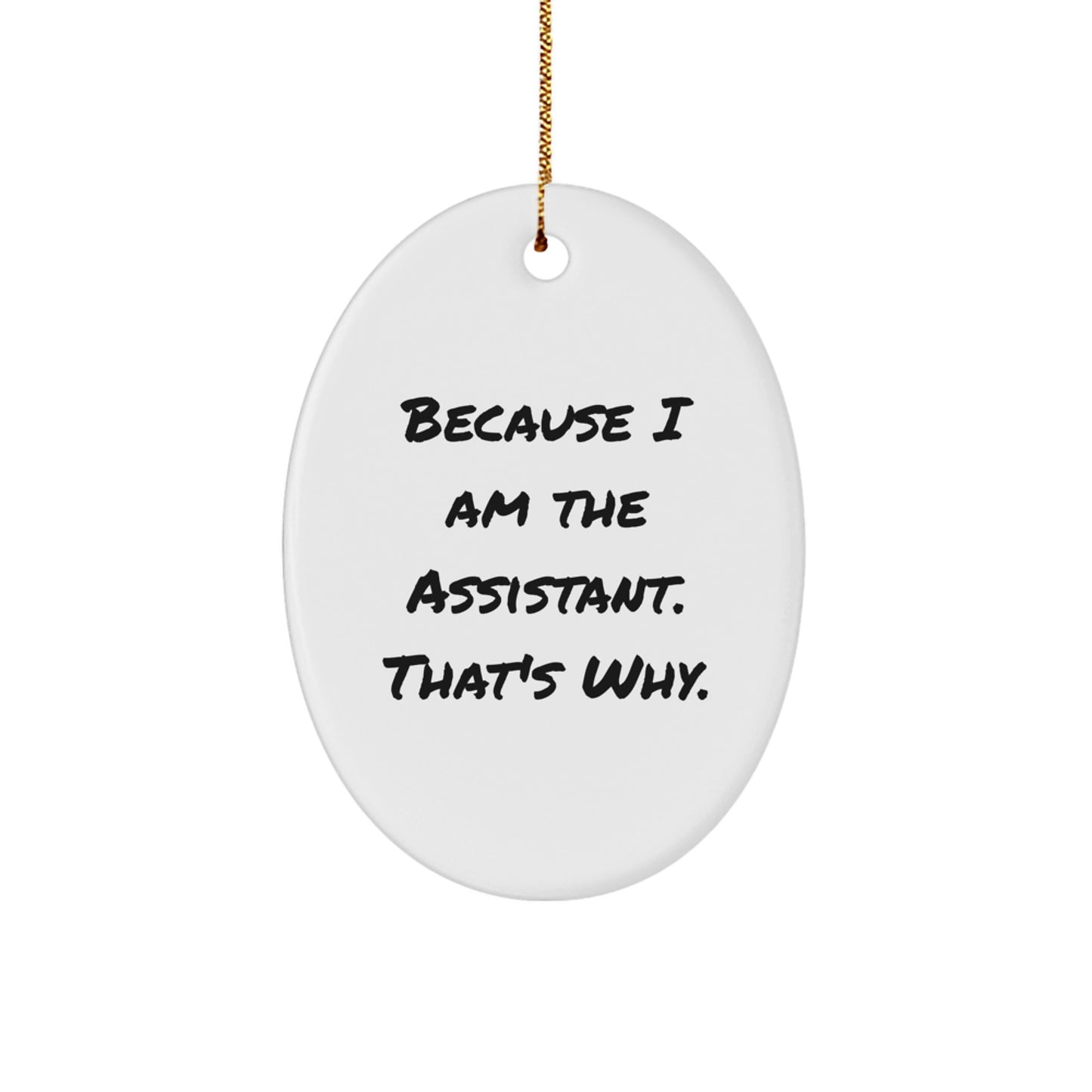 Funny Assistant Oval Ornament Gifts from Friends for Christmas Unique Decorations Because I Am The Assistant. That's Why. - Image 1
