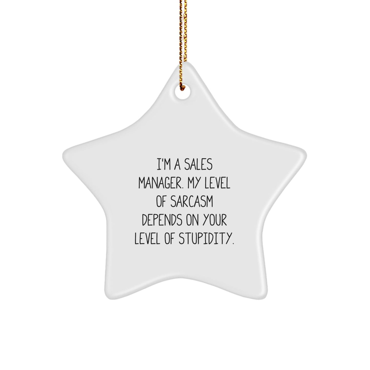 Sales Manager Gifts - Funny Star Ornament, I'm a Sales Manager, My Level of Sarcasm Depends on Your Level of Stupidity, Christmas Unique Gifts from Friends for Sales Manager - The Buy Boom
