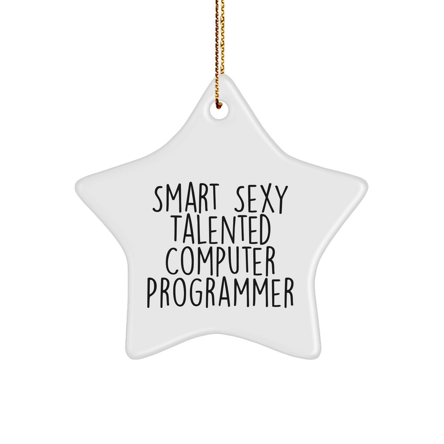 Smart Sexy Talented Computer Programmer's Star Ornament, Gifts from Friends, Christmas Unique Gifts for Computer Programmer, Men, or Women - The Buy Boom