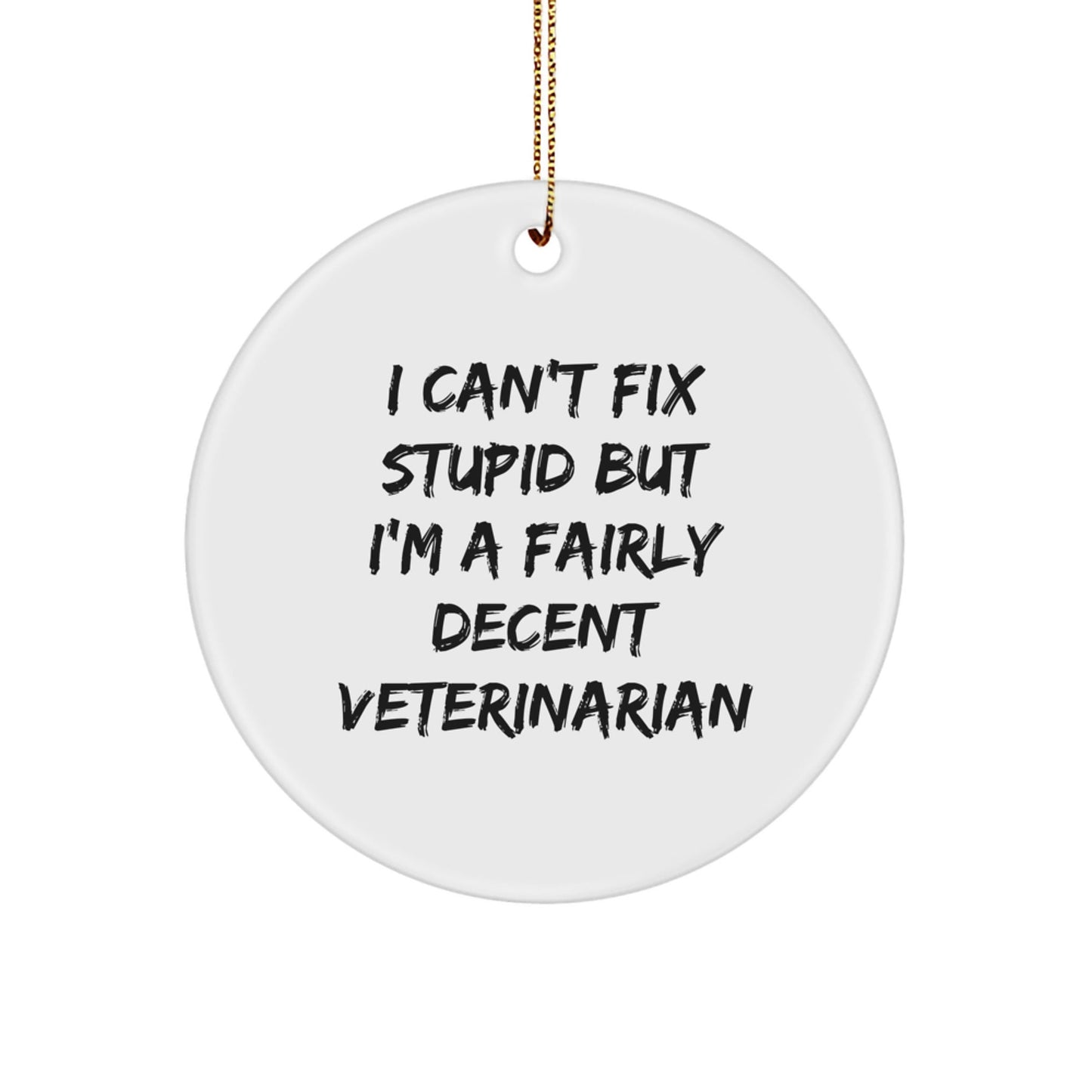 A Funny Veterinarian Christmas Unique Gift for the Veterinarian in Your Life - 'I Can't Fix Stupid' Circle Ornament, Gift from Friends and Family - The Buy Boom