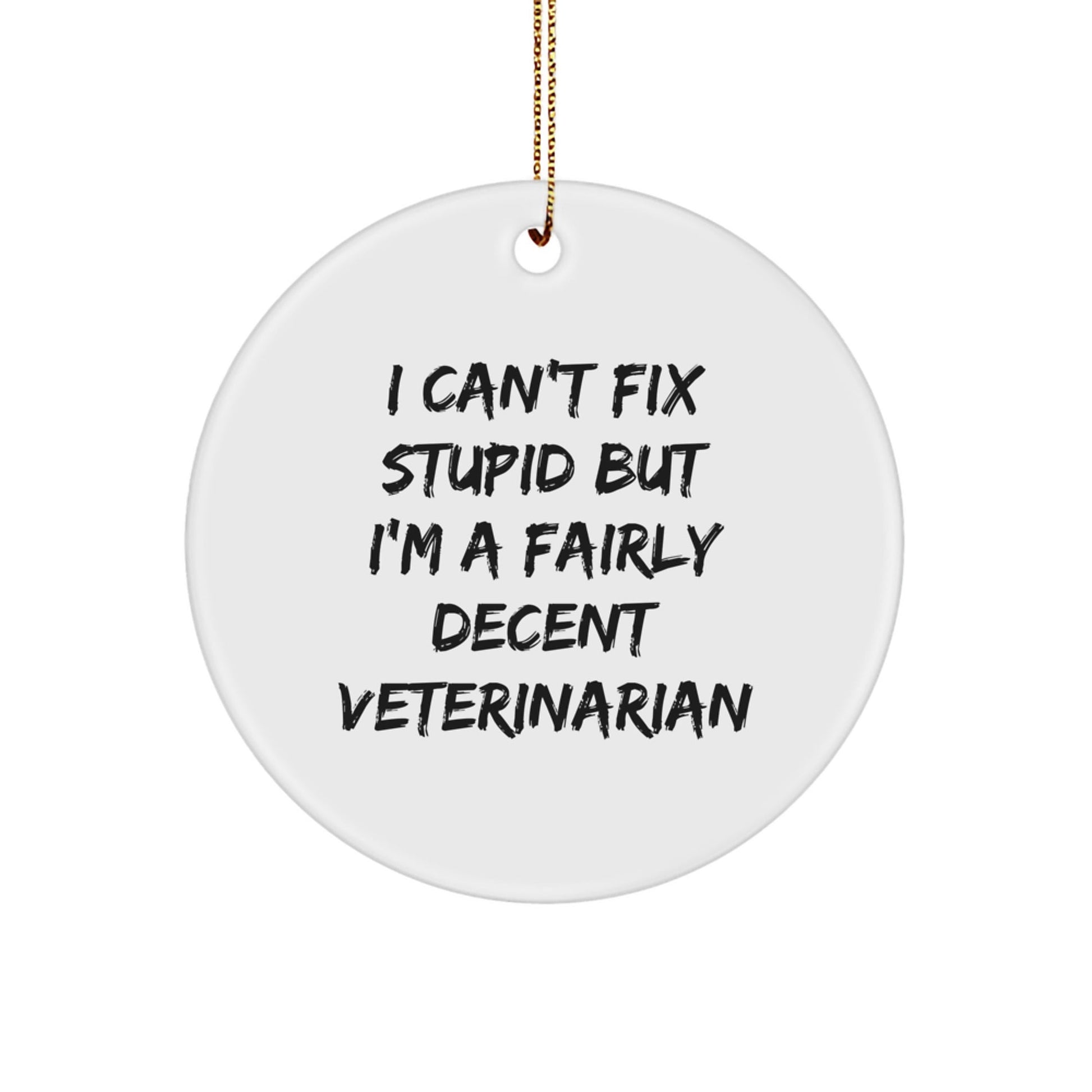 A Funny Veterinarian Christmas Unique Gift for the Veterinarian in Your Life - 'I Can't Fix Stupid' Circle Ornament, Gift from Friends and Family - The Buy Boom