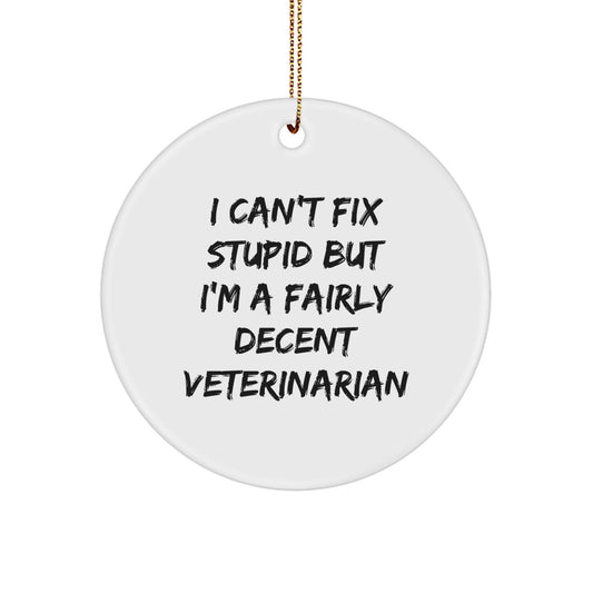 A Funny Veterinarian Christmas Unique Gift for the Veterinarian in Your Life - 'I Can't Fix Stupid' Circle Ornament, Gift from Friends and Family - The Buy Boom