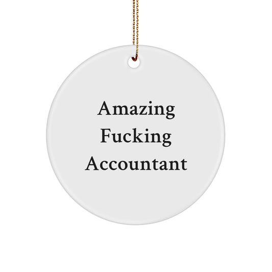 Accountant Gift, Funny Quote, Circle Ornament, Christmas Unique Gifts from Friends, for Men, Women, Coworkers, Family - The Buy Boom
