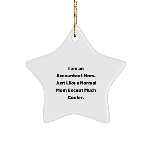 Accountant Star Ornament Funny Gift for Mom, Unique Christmas Ornaments Gifts from Family, Funny Star Shaped Accountant Gifts for Men Women Friends Coworkers - The Buy Boom