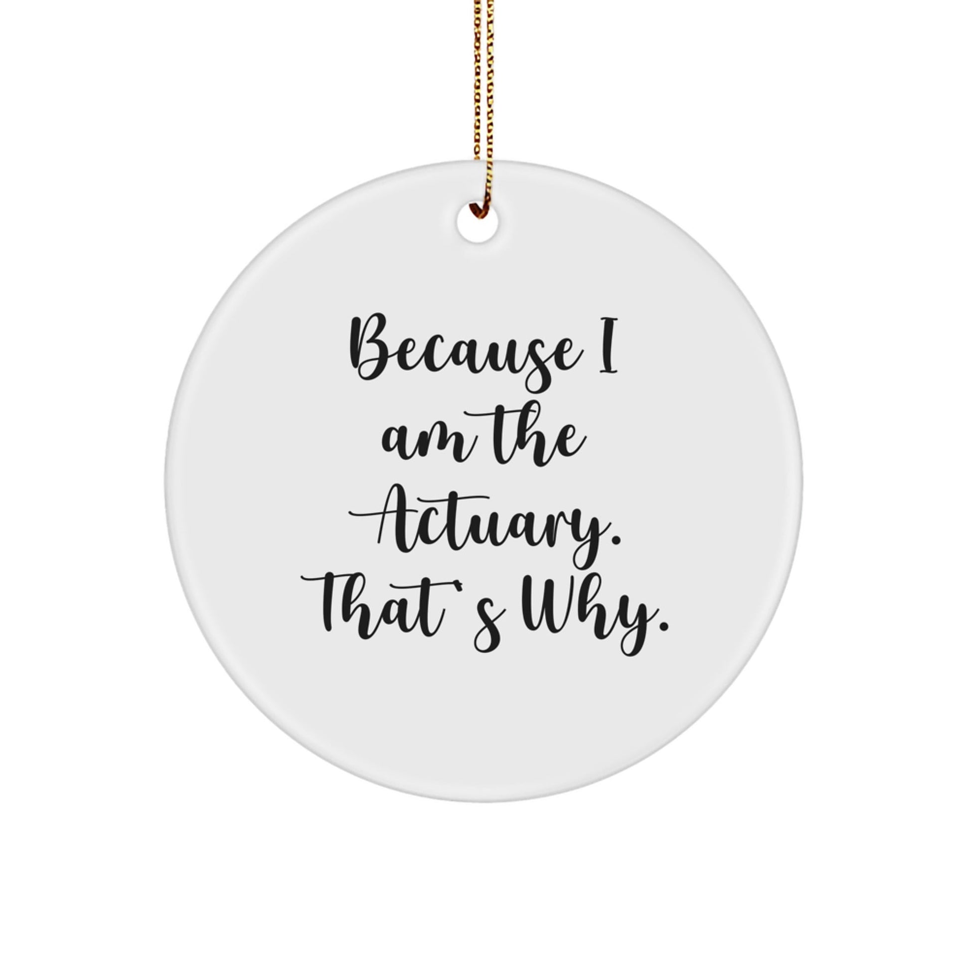Actuary Gifts for Men, Funny Quote, Circle Ornament, Christmas Unique Gifts from Family, Because I Am The Actuary. That's Why. - The Buy Boom