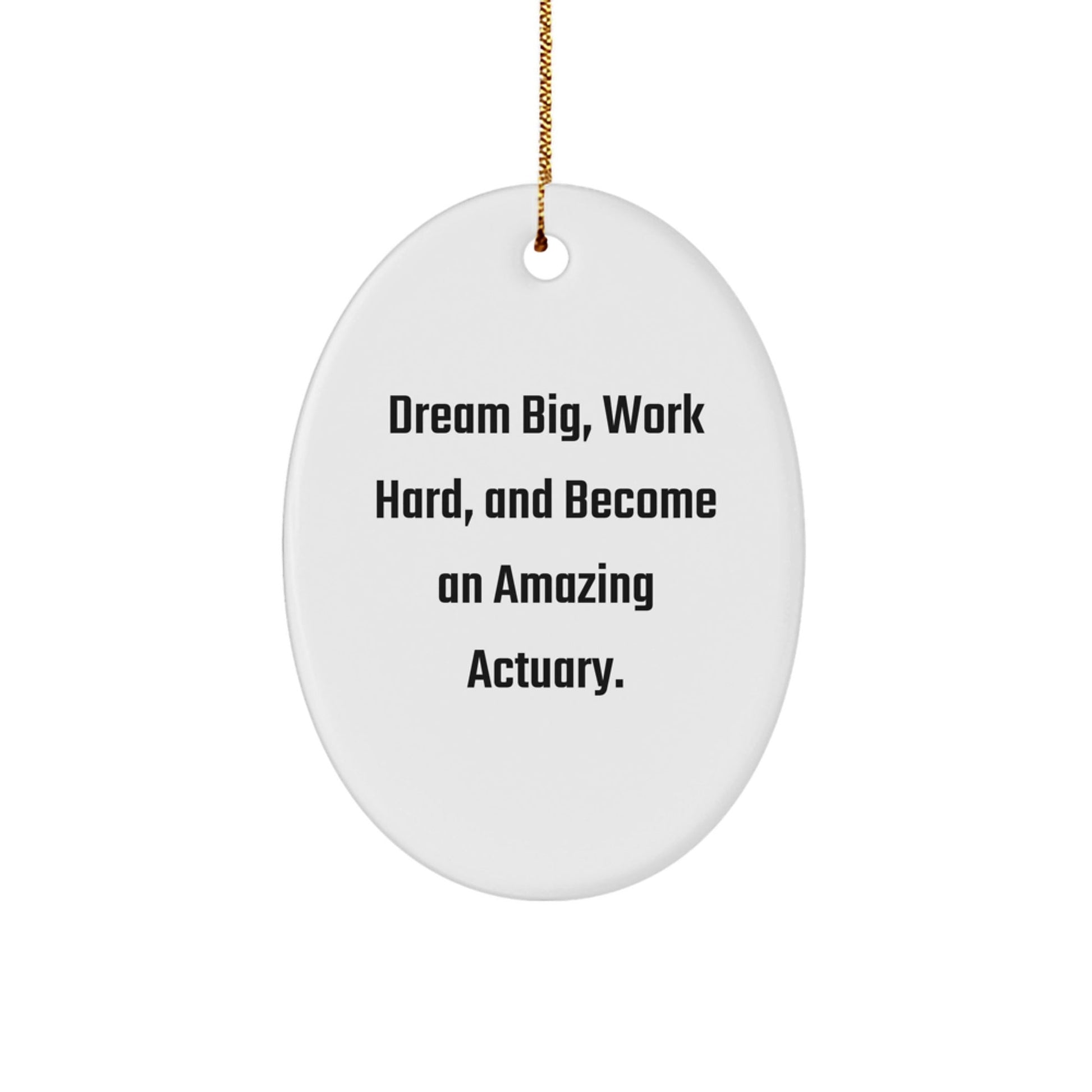 Actuary Oval Ornament Gift for Friends, Funny Inspirational Quote, Unique Christmas Decorations from Family, Ideal Gift for Actuary Men Women - The Buy Boom