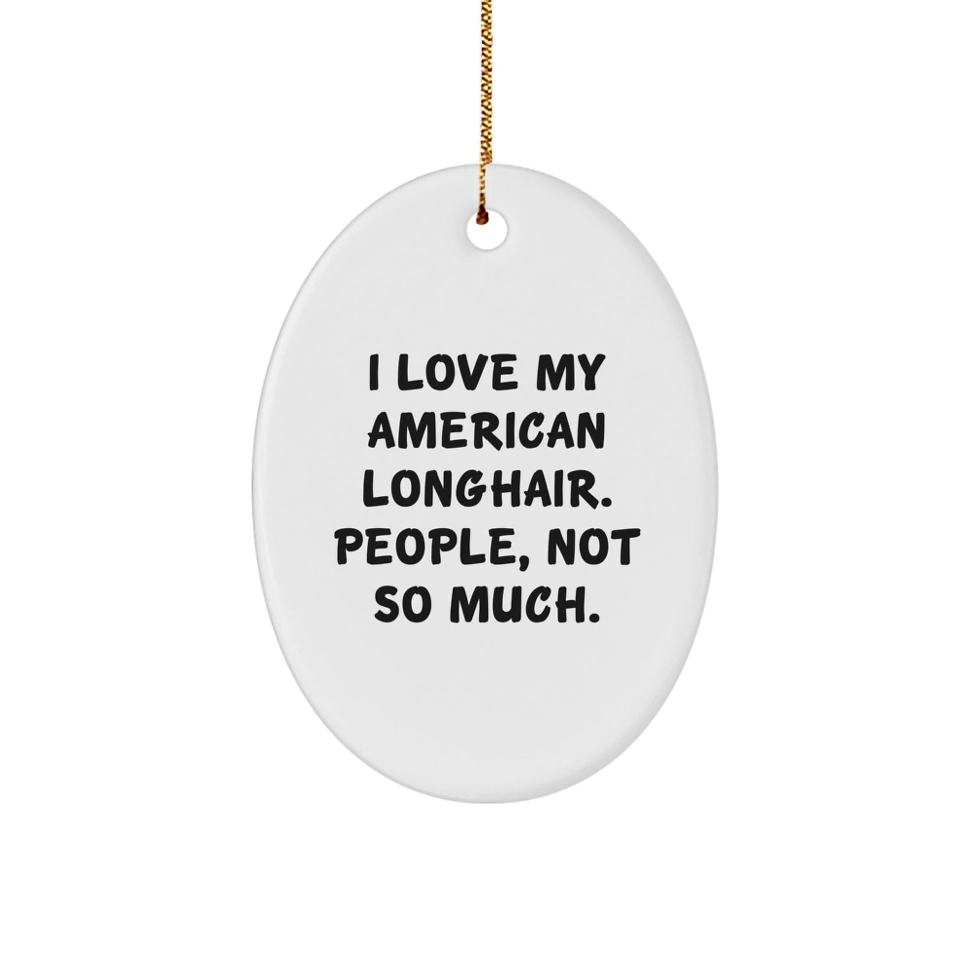 American Longhair Cat Lovers Oval Ornament with Funny Quote Gifts for Christmas - The Buy Boom
