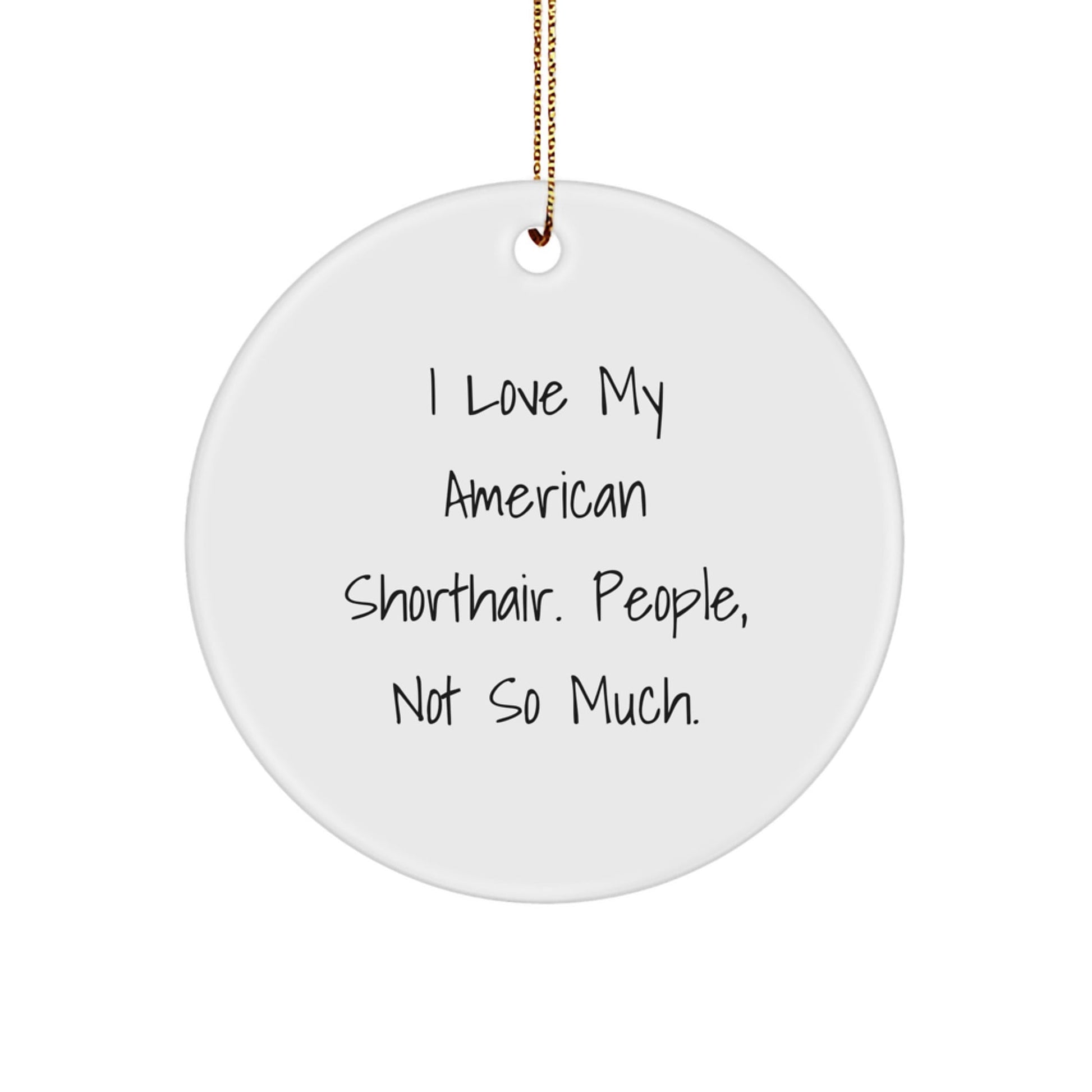 American Shorthair Cat Lover Gifts from Friends for Christmas - I Love My American Shorthair, People Not So Much. Circle Ornament - The Buy Boom