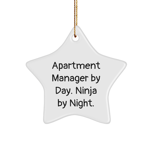 Apartment Manager Gifts: Ninja Star Ornament for Men from Friends - By Day, Decorate with Humor, By Night, Shine Bright! - The Buy Boom