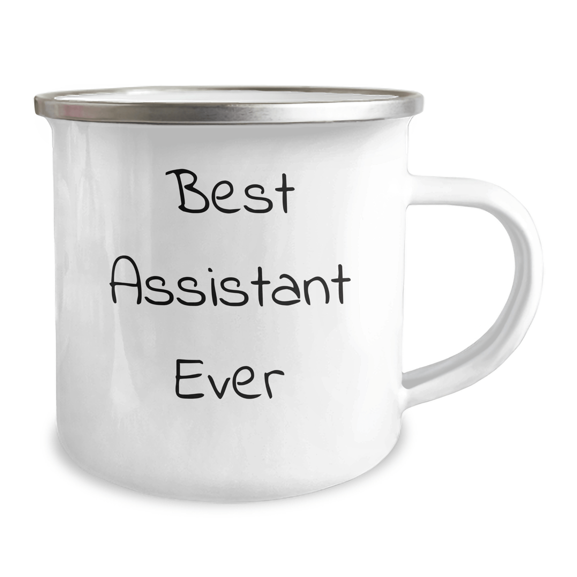 Best Assistant Ever Funny Camping Mug, Gifts from Friends to Assistant, Unique Graduation Gifts for Assistant, 12 oz Stainless Steel - The Buy Boom