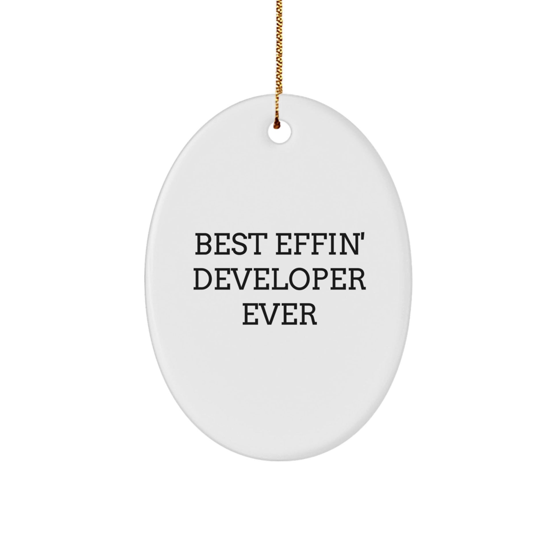 Best Effin' Developer Ever Oval Ornament, Funny Developer Gifts for Men, Women, Coworkers, Friends, Christmas Unique Gifts from Family, Developer Appreciation - The Buy Boom
