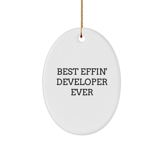 Best Effin' Developer Ever Oval Ornament, Funny Developer Gifts for Men, Women, Coworkers, Friends, Christmas Unique Gifts from Family, Developer Appreciation - The Buy Boom