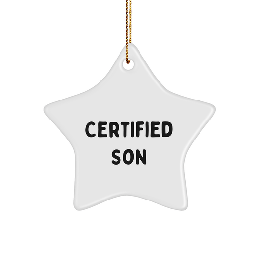 Certified Son Funny Star Ornament Gifts from Family for Christmas - The Buy Boom