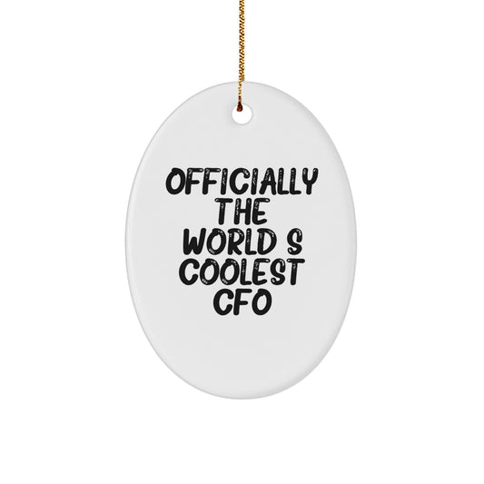 Christmas Unique Gifts for Men CFO Friends Family Oval Ornament, Funny CFO Quote Oval Shaped White MDF with High Gloss Plastic Finish Gifts from Friends for Men CFO - The Buy Boom