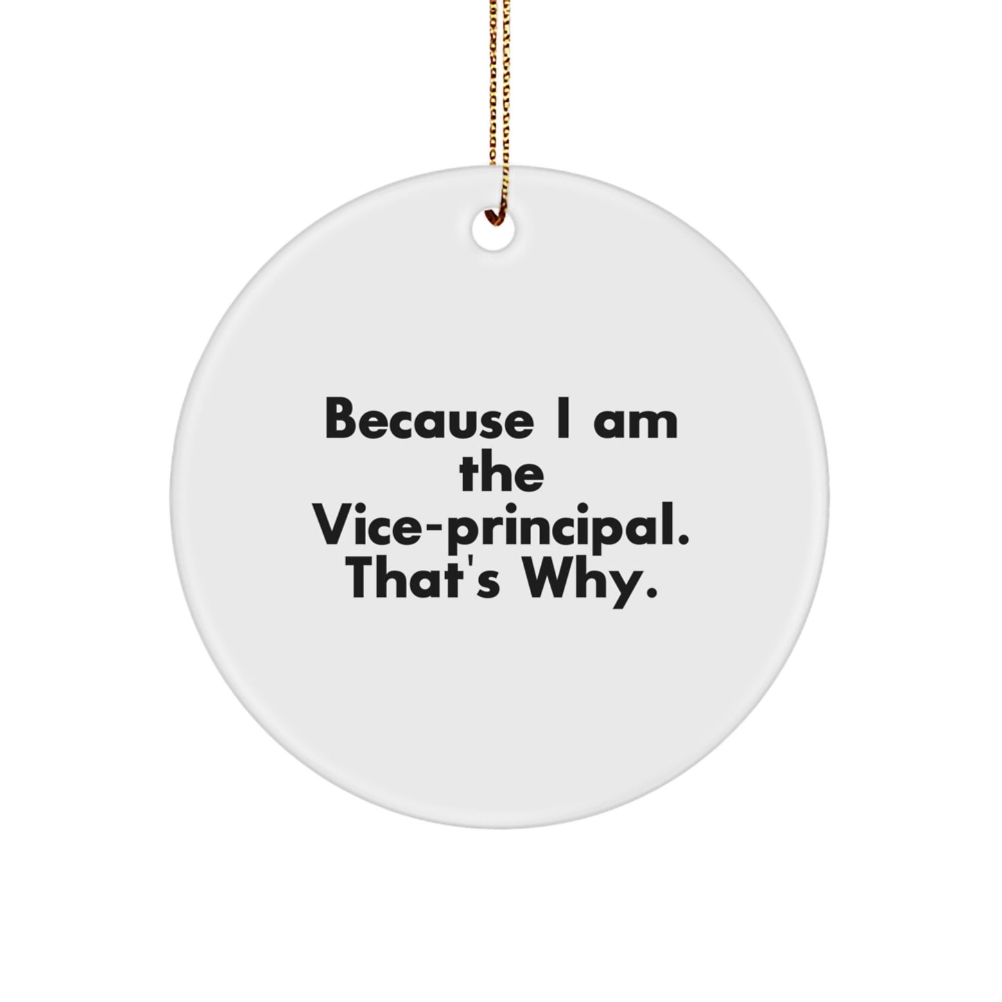 Funny Vice-Principal Gifts for Men, Vice-Principal Christmas Unique Ornaments from Friends, Inspirational Vice-Principal Circle Ornament for Vice-Principal - Image 1