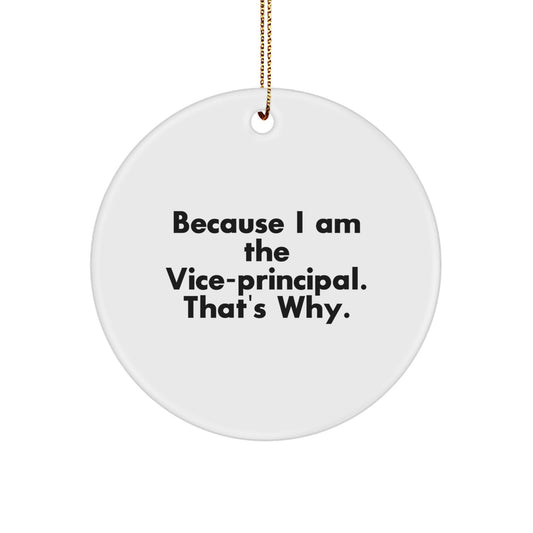 Funny Vice-Principal Gifts for Men, Vice-Principal Christmas Unique Ornaments from Friends, Inspirational Vice-Principal Circle Ornament for Vice-Principal - Image 1